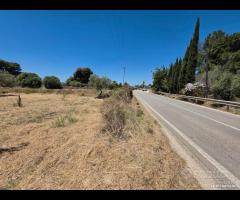 Castelvetrano terreno 3600 mq con progetto - 8
