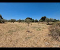 Castelvetrano terreno 3600 mq con progetto - 9