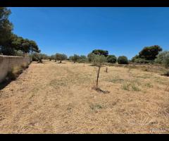 Castelvetrano terreno 3600 mq con progetto - 10