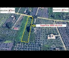 Castelvetrano terreno 3600 mq con progetto - 11