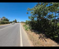 Castelvetrano terreno 3000 mq ss 115 dir selinunte