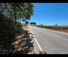 Castelvetrano terreno 3000 mq ss 115 dir selinunte