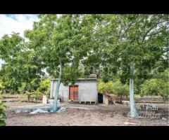 Terreno panoramico con fabbricato a Mascali