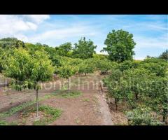 Terreno panoramico con fabbricato a Mascali