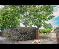 Terreno panoramico con fabbricato a Mascali