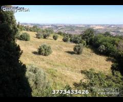 Casa a schiera nel centro storico di monte roberto - 21