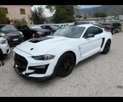 Ford Mustang SHELBY 2.3 EcoBoost 317 cv