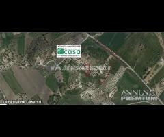 Rif.TA53|Terreno agricolo Caltanissetta