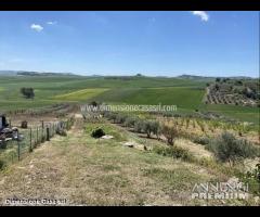 Rif.TA60|Terreno agricolo Serradifalco - 14