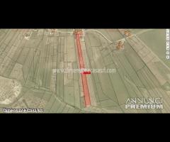 Rif.TA60|Terreno agricolo Serradifalco - 15